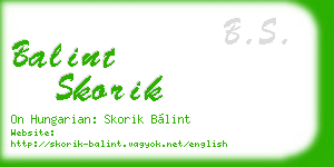 balint skorik business card